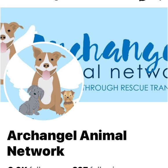 Welcome. Ask any questions always open to offers - Picture 3 of 4